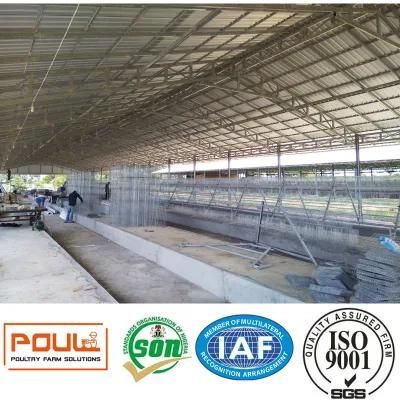 Chicken Farm Layer Chicken Cage Equipment