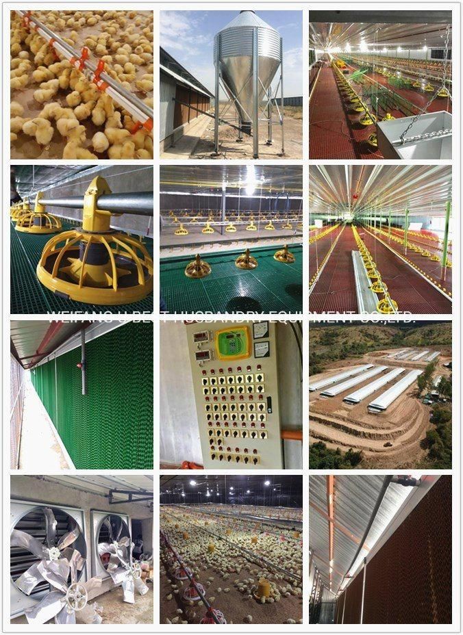 Modern Chicken Coop and Broiler Breeding Equipment/Automatic Drinking Water for Chickens