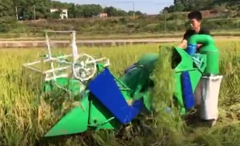 Agricultural Machinery Rice Paddy Cutting Machine Mini Rice Combine Harvester for Sale in Philippines
