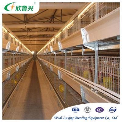 Battery Chicken Cage Laying Hen Cage Full Automatic Poultry Farm Layer Cages with Automatic Manure Cleaning System