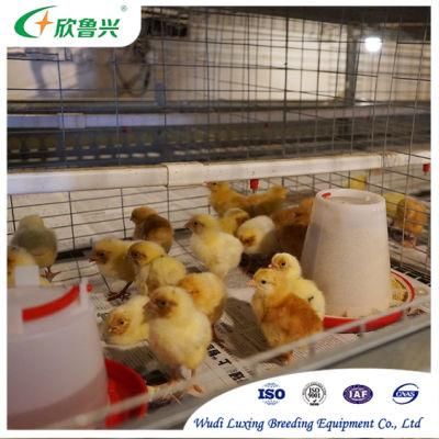 Poultry Farm Equipments Layer Chicken Hens Cages for Battery Coop with Automatic Manure Cleaning System