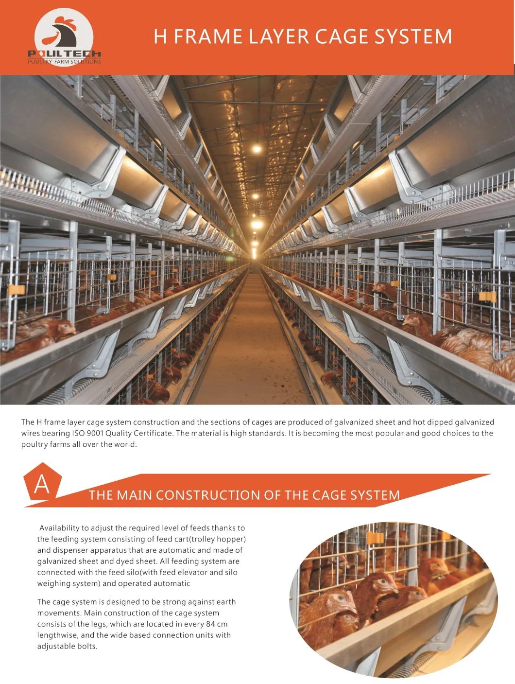 2022 New H Type Layer Chicken Cage with Automatic Equipment