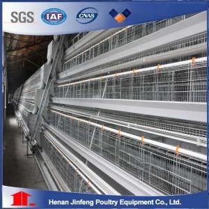Hot Sale High Quality H Type Automatic Chicken Cage