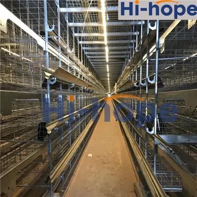 Factory Manufacture Automatic Farm Shed Equipment Layer Chicken Cage Shed Design for Sale