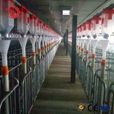 Wholesale Designed Pig Chain Auto Feeding System for Sale