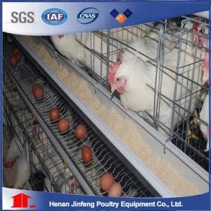 Automatic Chicken Layer/Borilercgae Farm Equipment for Sale Poultry Battery Cage Fowl Cage Automatic Poultry Equipment