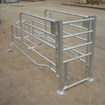 Pig Gestation Crates Piggery Equipment Farrowing Stalls Used Pig Pen Design