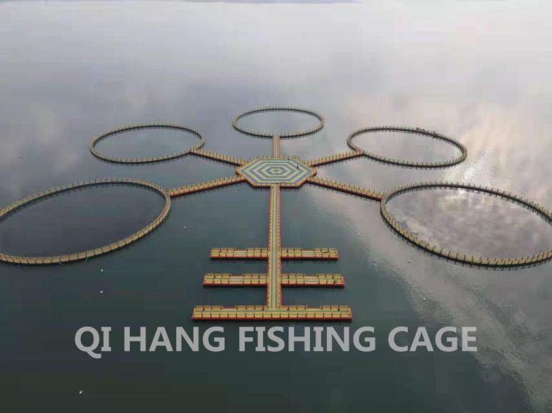 Circlular HDPE Tilapia Fish Farming Cages Farming Net Cage
