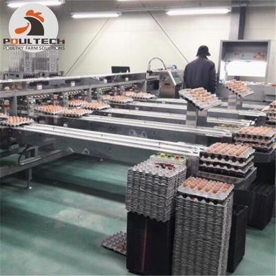 Chicken Egg Grading &amp; Package Machine for Poultry Farm 60000 Eggs/Hour