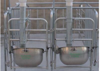 Wholesale Hot Galvanized Sow Stall Pig Gestation Crates for Sale