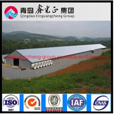 Steel Structure Poultry House and Equipment (BYPH-001)