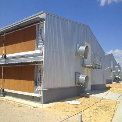Long Life Span Best Quality Chicken Coop Equipment for Sale