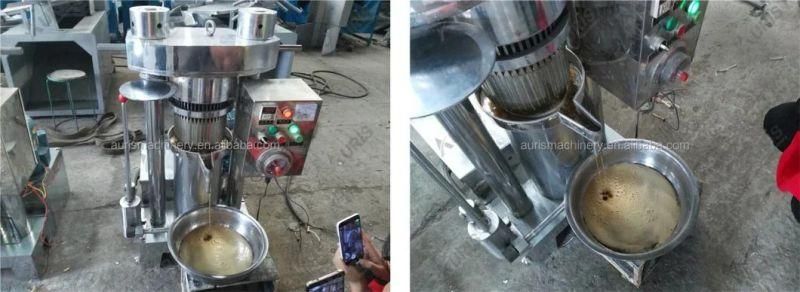 High Oil Recovery Pine Nuts Almond Peanut Oil Processing Making Extractor Extraction Expeller Palm Oil Press Machine