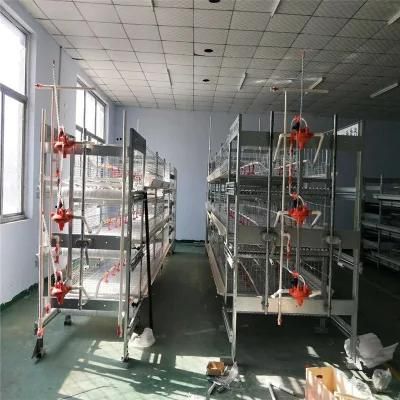 Quick Built Galvanized Factory Steel Layer Poultry Farm Equipment