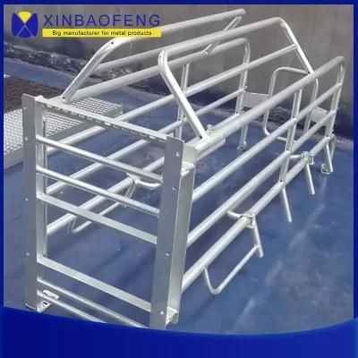 Farm Livestock Equipment Hot DIP Galvanized Gestation Crate
