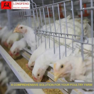 Farming Local After-Sale Service in Asia Broiler Cage Poultry Farm Equipment
