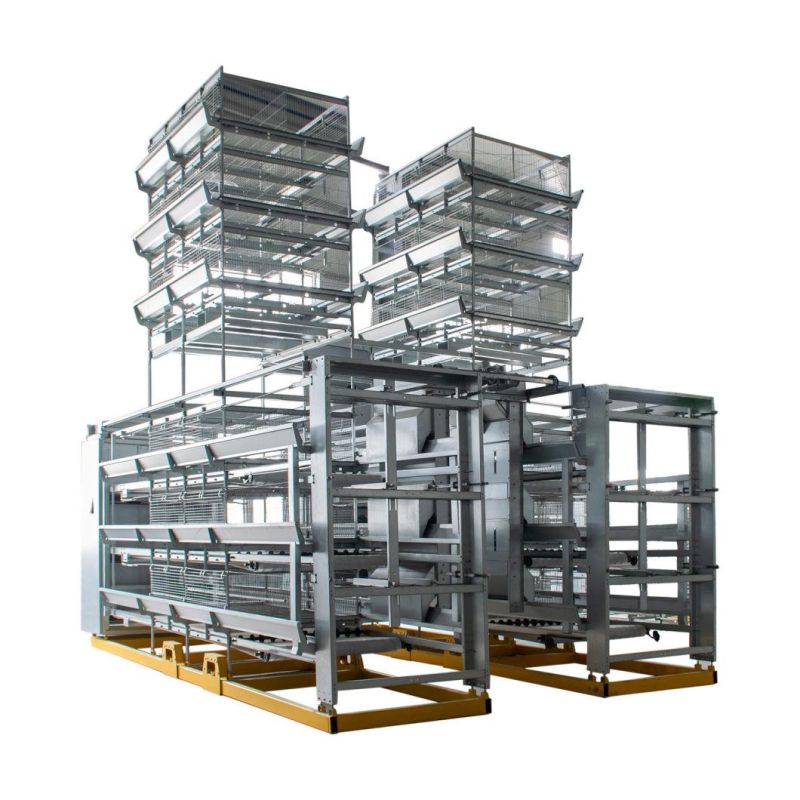 2022 Chicken Cages for Africa Poultry House Layer Chicken Design