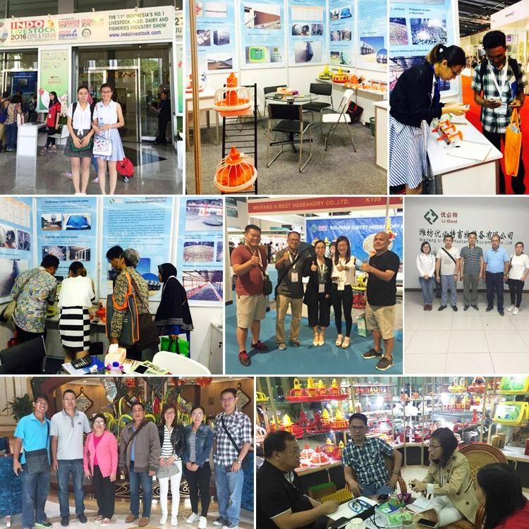 Promote Sales Closed Prefab House Poultry Farm Chicken Feeding Equipment