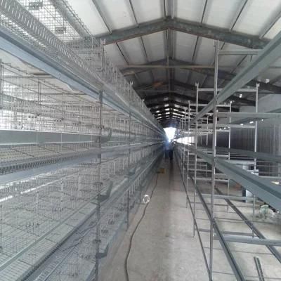 Hot Sale Poultry Farm Equipment Layer Chicken Cage