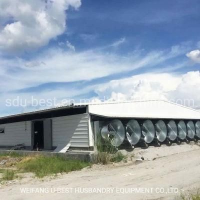 Cost-Effective Prefab Broiler Poultry Farm House with Controlled Climate System