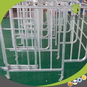 Modern Pig Farm Equipment Sow Gestation Stall with Gates