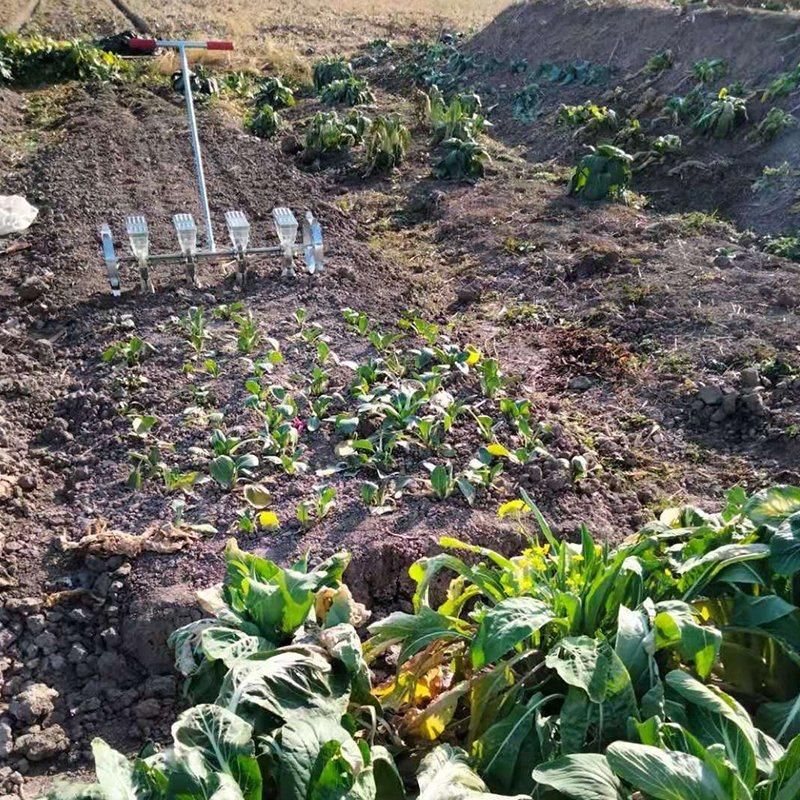 Hand-Pulled Vegetable Seeder Coriander Celery Radish Multi-Row Planter Seeder