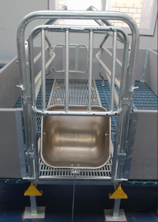 Popular Pig Farrowing Crate Stall for Design