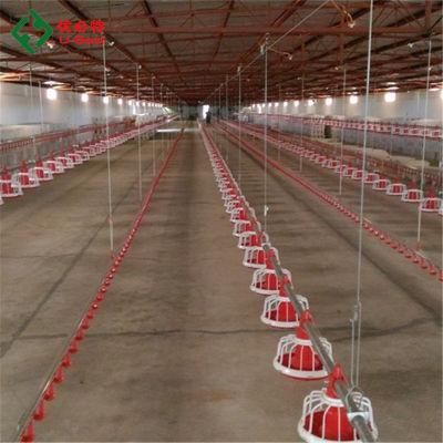 Feeders for Chicken House