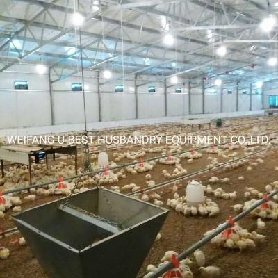 Modern Automatic Chicken Feeder Equipment for Poultry Farming House