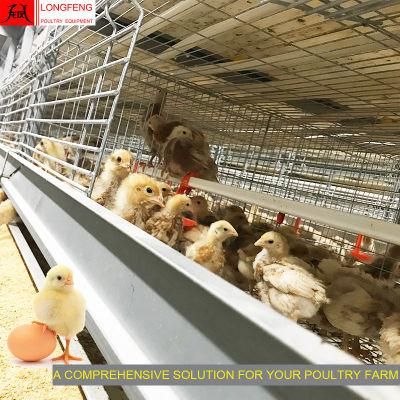 Comprehensive Solution Dosing Medicine and Spray Disinfection Hot Galvanized Computerized Layer Cage