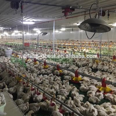 Good Price Automatic Chicken Broiler Farm Equipment for Poultry