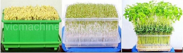 500kg/d Hydroponic Fodder Growing Container HP-500H