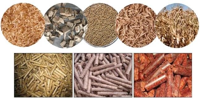 New Ring Die Pelleter Animal-Derived Cattle Manufacturing Machines Pellet Making Feed Particles Machine