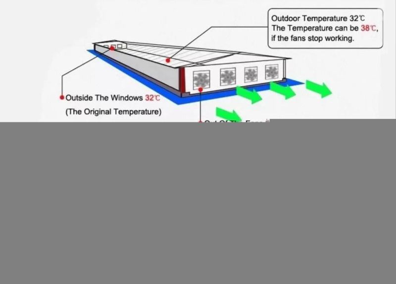 High Quality Manure Scraper/Automatic Manure Removal System for Poultry Farm