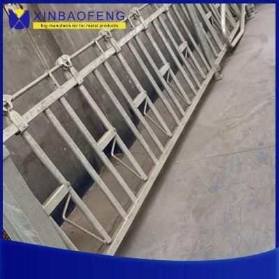 Hot Dipped Galvanized Cattle Self-Locking Headlock Panels