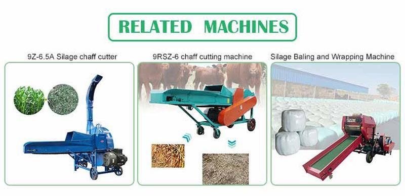 Silage Chaff Cutter Machine Straw Crushing Machine for Sale