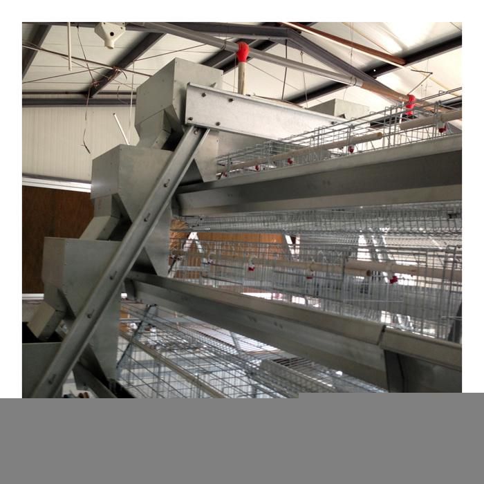 Good Price Automatic Egg Layer Chicken Farm Poultry Battery Cages for Sale