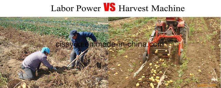 China Selling Walking Tractor Mini Single Potato Harvester