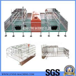 China Manufacturer Supplier of Piglet Pen with Galvanized Steel and Plastic