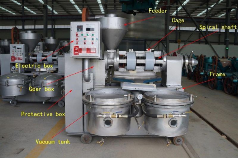 145kg/H Sunflower Oil Extraction Sunflower Seeds Combined Oil Processing Pressing Machine in Africa