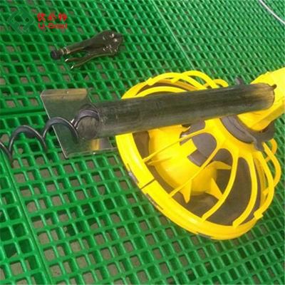 Automated Broiler Poultry Farming Equipment Chicken Feeding and Drinking System