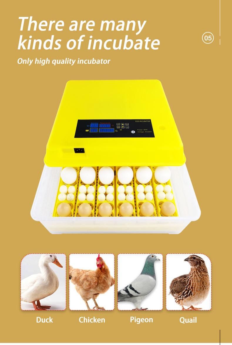 High Hatching 220V Dual Power Eggs Incubator 48 Egg Mini Chicken Automatic Chicken Hatchery Incubator