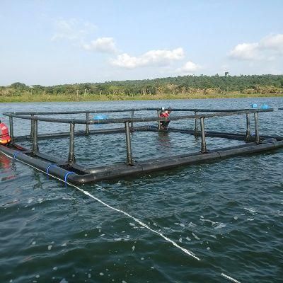 HDPE Plastic Floating Cages Used for Tilapia Breeding Aquaculture