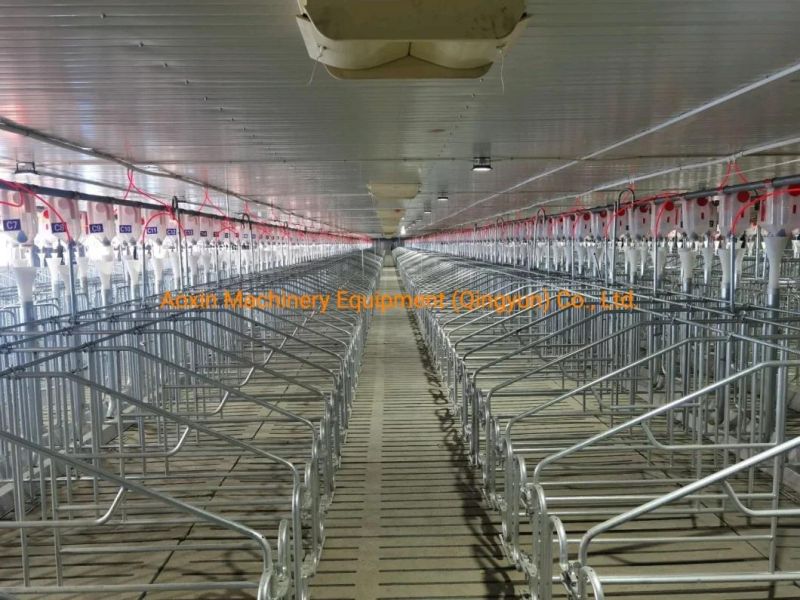 Automatic Feeding System Construction for Pig Farm