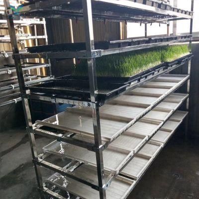 Microgreen System Green Forage Hydroponic Fodder Growing System Cultivation