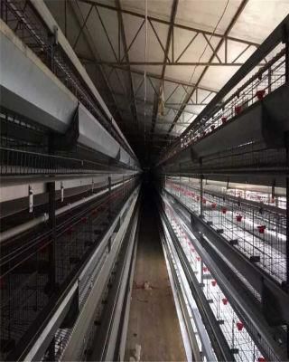 Laying Hens, Chicken Frames and Breeding Equipment