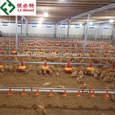 Broiler Automatic Poultry Equipment for Chicken Farming Shed