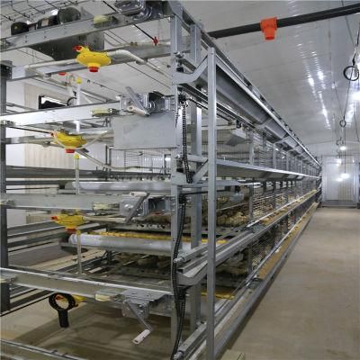 Long Life Span Technical Full Automatic Steel Duck House Equipment
