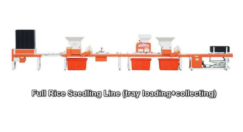 Automatic Seedling Machine Line with Watering and Tray Collection for Rice Paddy Seedling