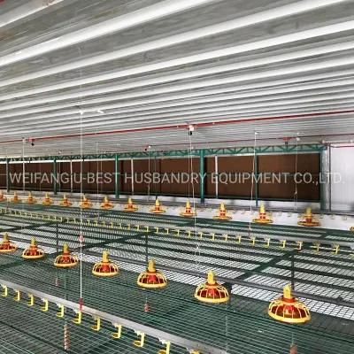 Automatic Chicken Poultry Farm Feeding System for Broiler